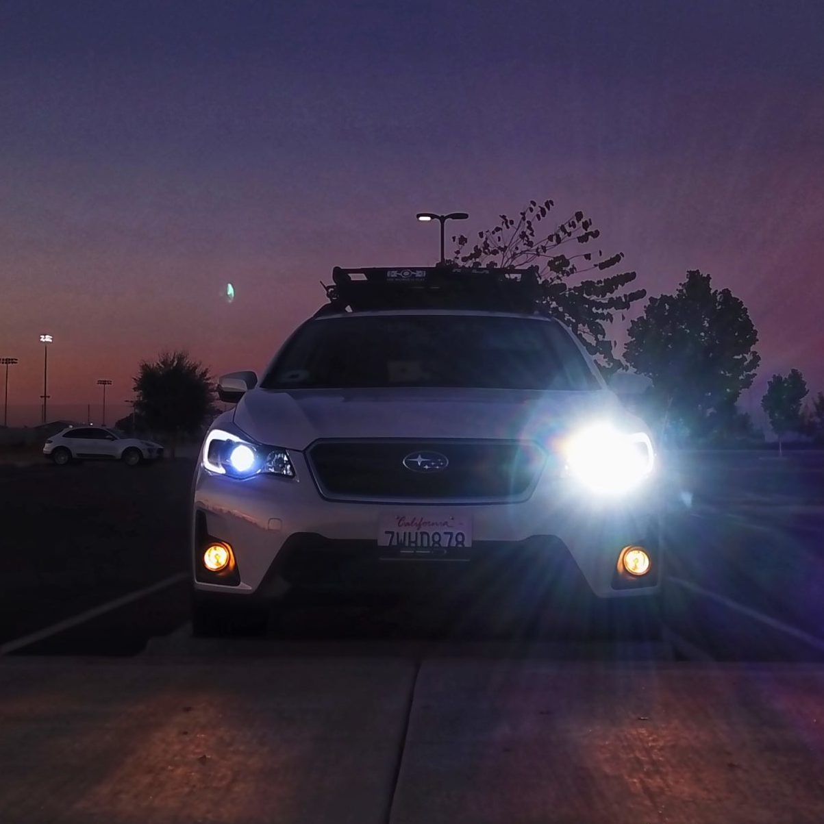Headlights & Fogs